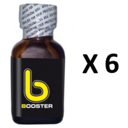 FL Leather Cleaner Booster 25mL x6